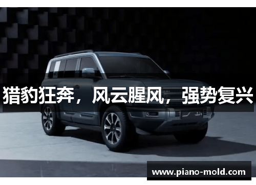 猎豹狂奔，风云腥风，强势复兴